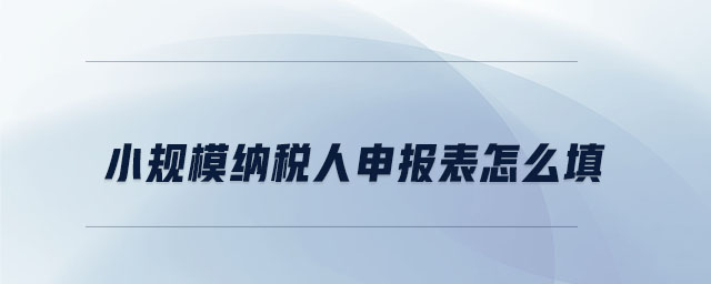 小規(guī)模納稅人申報(bào)表怎么填