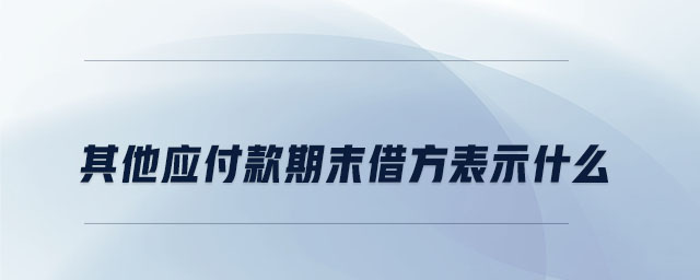 其他應(yīng)付款期末借方表示什么