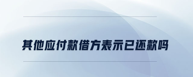 其他應(yīng)付款借方表示已還款嗎