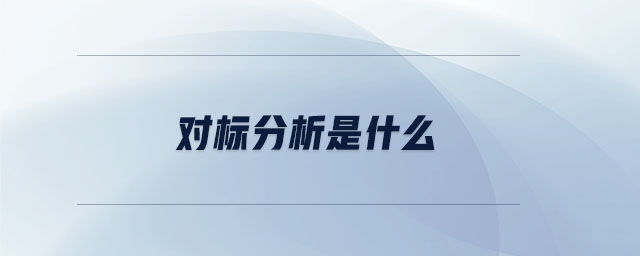 對標分析是什么