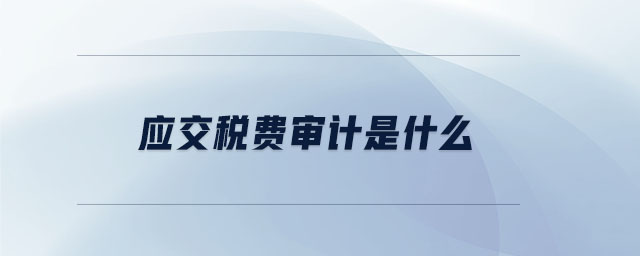 應(yīng)交稅費審計是什么