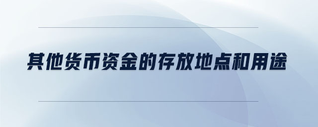 其他貨幣資金的存放地點和用途