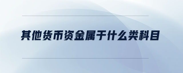 其他貨幣資金屬于什么類科目