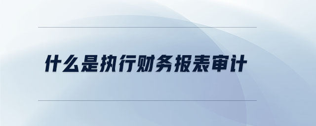 什么是執(zhí)行財(cái)務(wù)報(bào)表審計(jì)