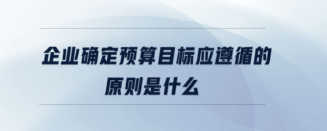 企業(yè)確定預(yù)算目標(biāo)應(yīng)遵循的原則是什么