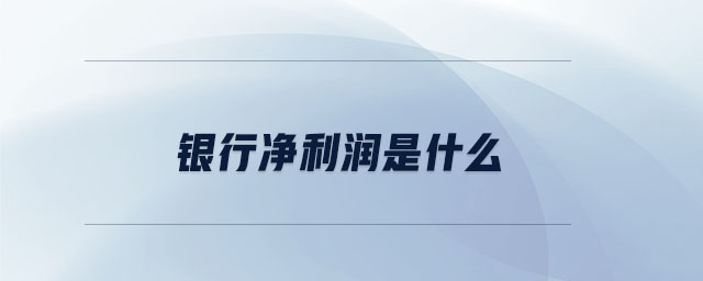 銀行凈利潤是什么