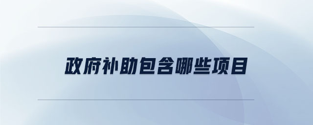 政府補助包含哪些項目