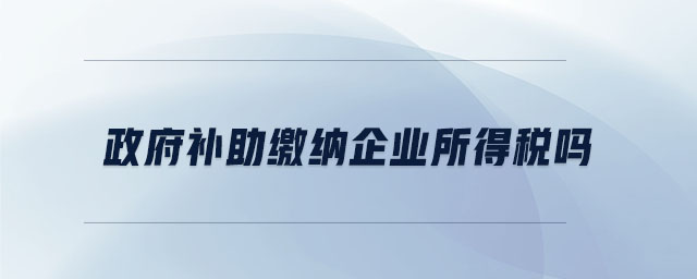 政府補(bǔ)助繳納企業(yè)所得稅嗎