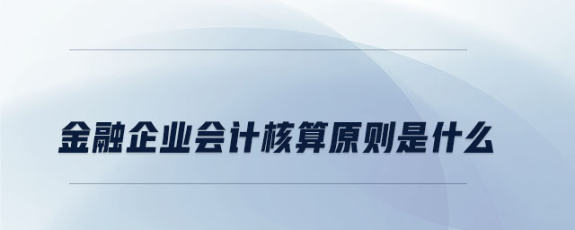 金融企業(yè)會(huì)計(jì)核算原則是什么