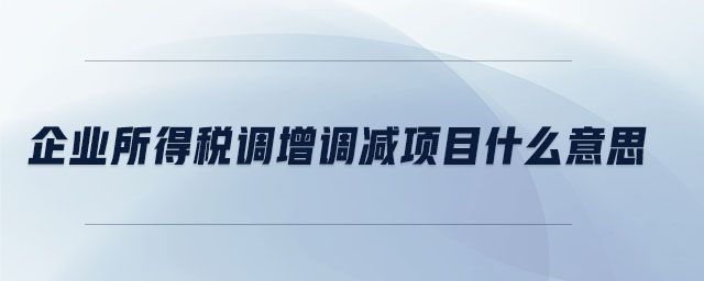 企業(yè)所得稅調(diào)增調(diào)減項(xiàng)目什么意思