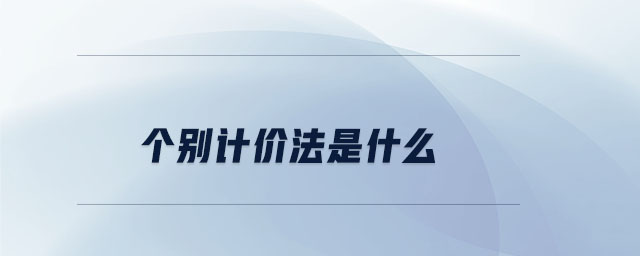 個(gè)別計(jì)價(jià)法是什么