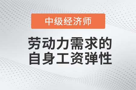 勞動力需求的自身工資彈性_2022中級經(jīng)濟(jì)師人力資源知識點(diǎn)