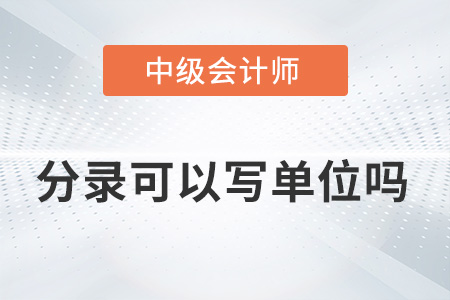 2022年中級(jí)會(huì)計(jì)實(shí)務(wù)分錄后面可以寫(xiě)單位嗎,？