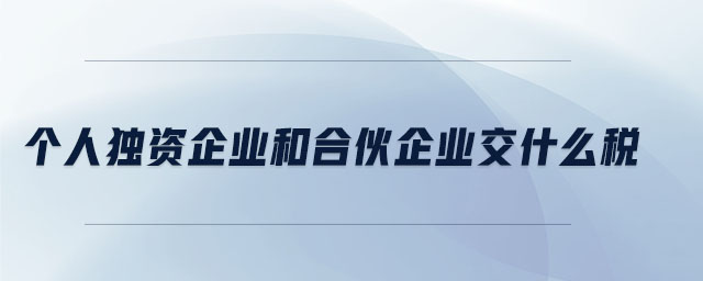 個(gè)人獨(dú)資企業(yè)和合伙企業(yè)交什么稅