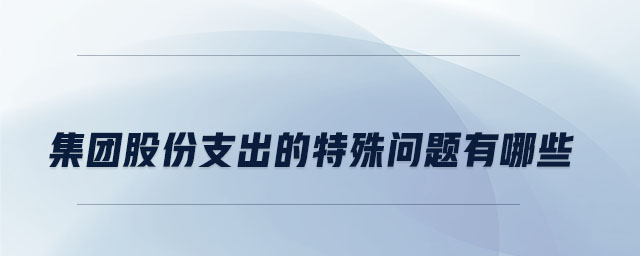 集團(tuán)股份支出的特殊問題有哪些