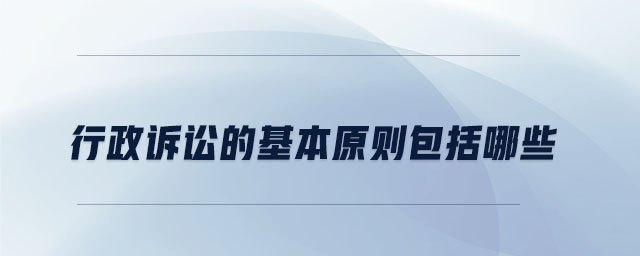 行政訴訟的基本原則包括哪些