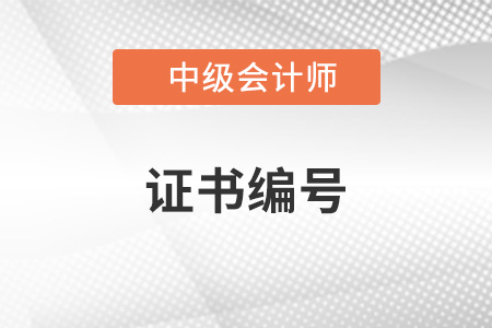 2022年中級(jí)會(huì)計(jì)師證書(shū)編號(hào)是哪個(gè),？