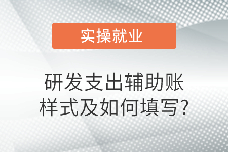 研發(fā)支出輔助賬樣式及如何填寫?