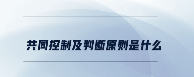 共同控制及判斷原則是什么