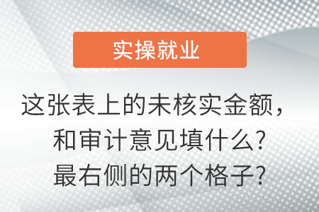 這張表上的未核實金額,，和審計意見填什么?最右側(cè)的兩個格子?