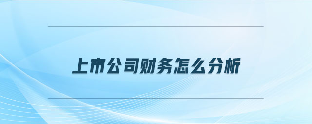 上市公司財(cái)務(wù)怎么分析
