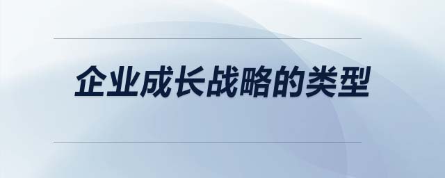 企業(yè)成長(zhǎng)戰(zhàn)略的類型