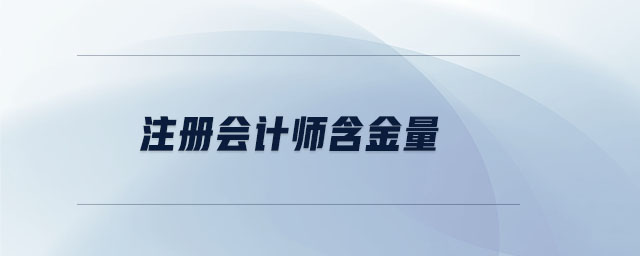 注冊(cè)會(huì)計(jì)師含金量