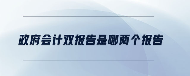 政府會計雙報告是哪兩個報告