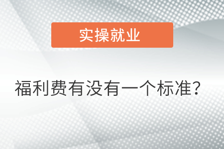 福利費有沒有一個標(biāo)準(zhǔn)？