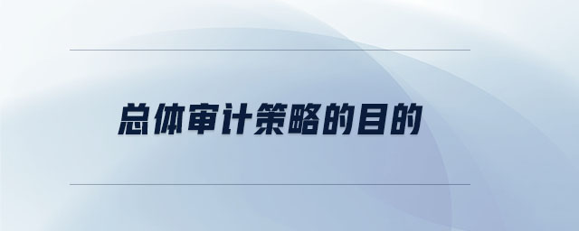 總體審計策略的目的