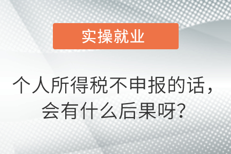 個(gè)人所得稅不申報(bào)的話,，會(huì)有什么后果呀,？