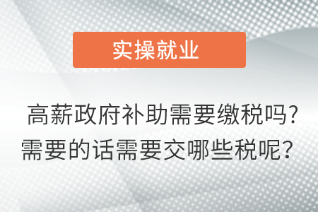 高薪政府補助需要繳稅嗎?需要的話需要交哪些稅呢？