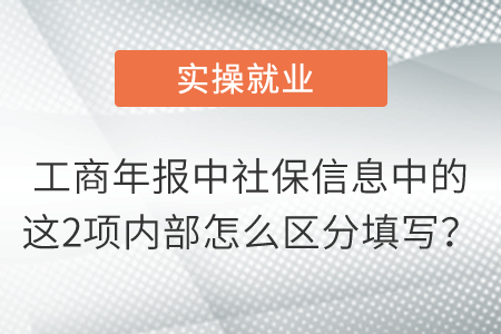 工商年報中社保信息中的這2項內(nèi)部怎么區(qū)分填寫,？