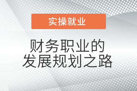 財務(wù)職業(yè)的發(fā)展規(guī)劃之路