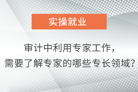 審計中利用專家工作,，需要了解專家的哪些專長領(lǐng)域？