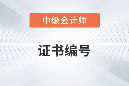 中級(jí)會(huì)計(jì)師證書號(hào)是哪一個(gè)你了解嗎,？