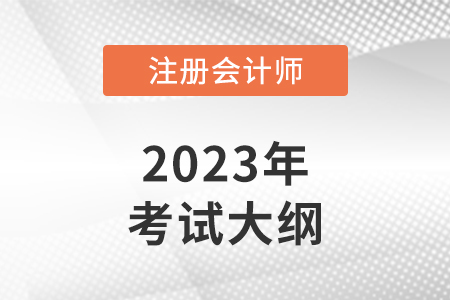 2023年注冊(cè)會(huì)計(jì)師大綱重要嗎,？