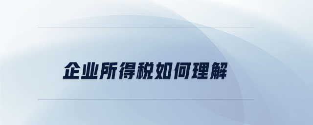 企業(yè)所得稅如何理解