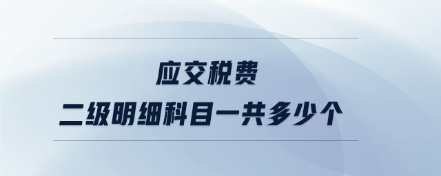 應(yīng)交稅費(fèi)二級(jí)明細(xì)科目一共多少個(gè)