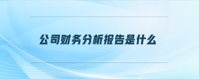 公司財務(wù)分析報告是什么