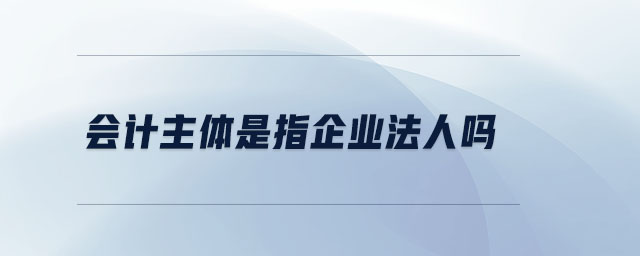 會計(jì)主體是指企業(yè)法人嗎