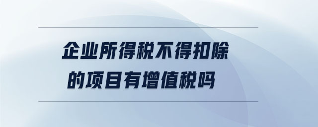 企業(yè)所得稅不得扣除的項目有增值稅嗎