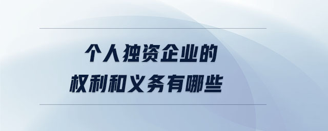 個(gè)人獨(dú)資企業(yè)的權(quán)利和義務(wù)有哪些