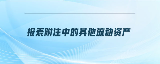 報表附注中的其他流動資產(chǎn)