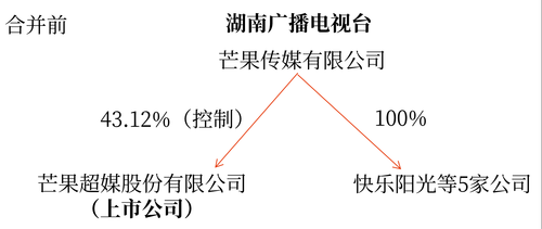 企業(yè)合并概述2