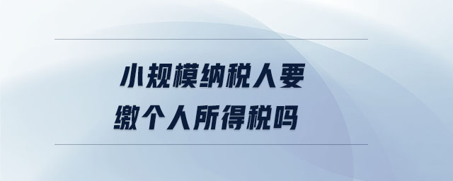 小規(guī)模納稅人要繳個人所得稅嗎