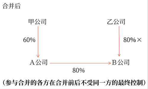 企業(yè)合并概述6