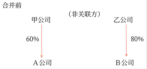 企業(yè)合并概述5