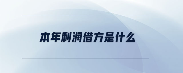 本年利潤(rùn)借方是什么