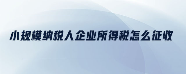 小規(guī)模納稅人企業(yè)所得稅怎么征收